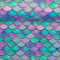 Preview: Jersey Melody Schuppen Regenbogenbunt klein