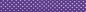 Preview: 3m Schrägband Baumwolle TUPFEN lila [Fb. 1013]