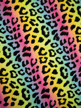 French Terry Leo bunt Regenbogenfarben