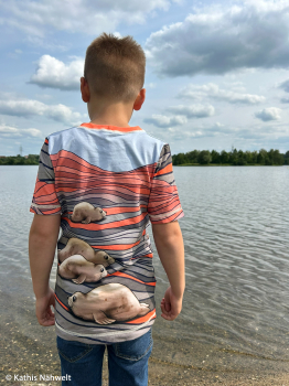 Jersey In the Dunes PANEL by Thorsten Berger